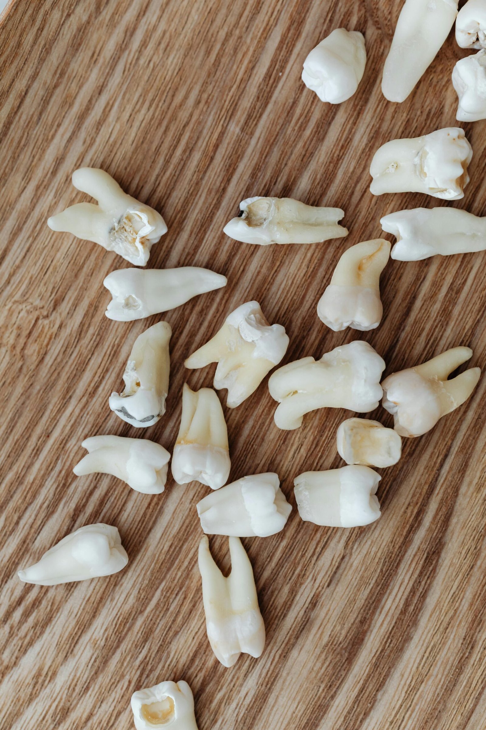 Close-up of various human teeth on a wooden background, indoor shot.